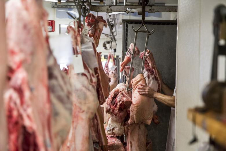 The shop has been in its current location for 10 years, and due to business nearly doubling in just five years, Kattenhorn says renovation and expansion plans are on the horizon. The shop has been in its current location for 10 years, and due to business nearly doubling in just five years, Kattenhorn says renovation and expansion plans are on the horizon.