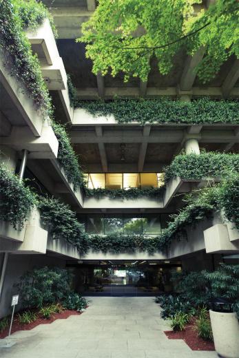 As the plantings matured, the overhanging foliage formed a layer of natural shadow that helps to absorb the sun and keep the building cool. Windows have natural shading due to the cantilevered building design, the orientation of the structure and the abundant greenery. The structure features a fully landscaped, green roof, which was revolutionary for the time. As the plantings matured, the overhanging foliage formed a layer of natural shadow that helps to absorb the sun and keep the building cool. Windows have natural shading due to the cantilevered building design, the orientation of the structure and the abundant greenery. The structure features a fully landscaped, green roof, which was revolutionary for the time.
