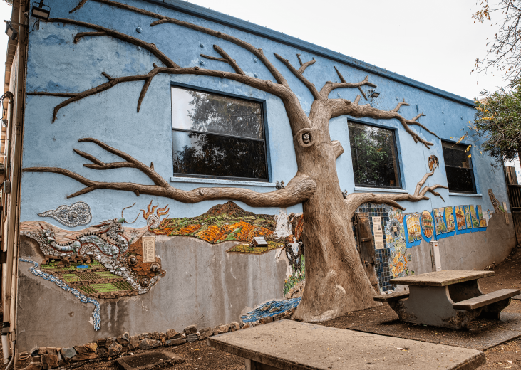 Coordinated by local artist Anne Cook – with the plaster tree the work of local sculptor Scott Greer – the mural at Mokelumne Hill’s Shutter Tree Park has been in development for several years.