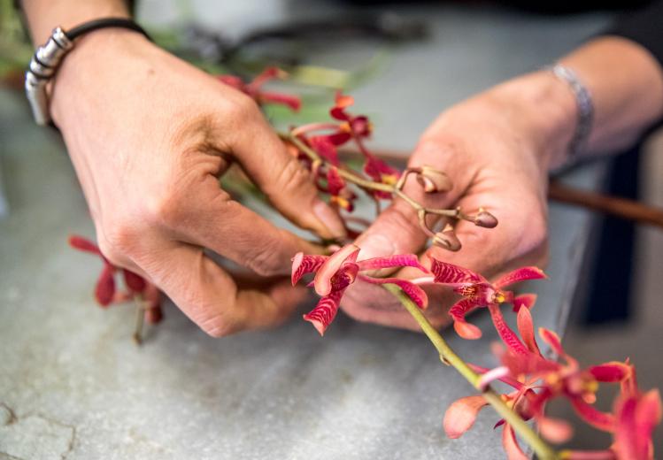 She adheres to ikebana’s core principle — representing humanity, spirituality and nature through floral arrangement — but “then it’s my interpretation,” says Taira, who owns Kiyo’s Floral Design in Midtown Sacramento.