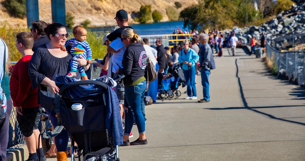 A crowd gathers along the Nimbus fish ladder waiting for the gates to open and the first Chinook salmon to enter. (Photo by Steve Martarano)