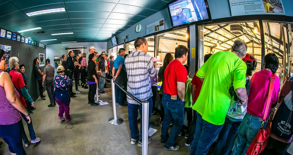 Visitors watch the salmon being processed at Nimbus Hatchery. Each salmon that is spawned holds an average of 5,200 eggs. About 6 million eggs will be collected over the next two months. (Photo by Steve Martarano)