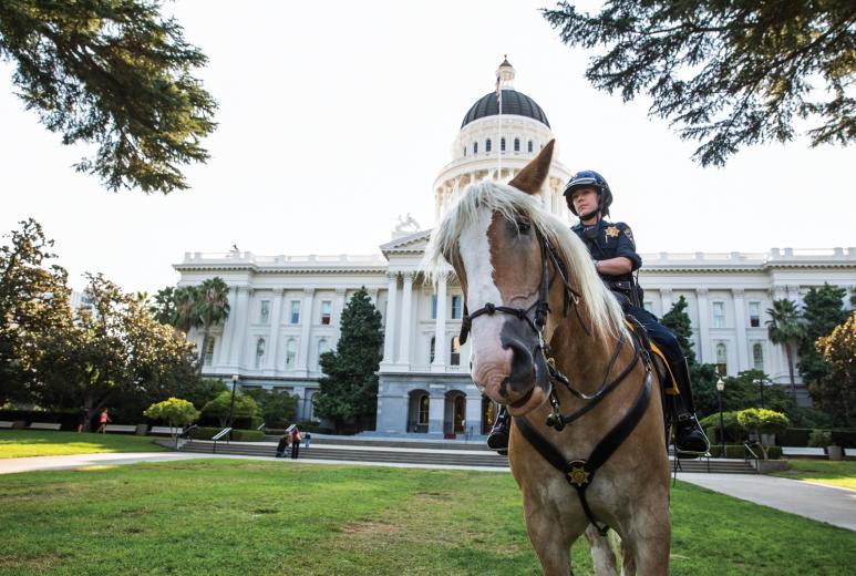 California Highway Patrol Officer Kari Dillon was a bill collector before making a career change and becoming a police officer Before she joined the CHP, she had no idea riding horses was even an option. She’s been riding for about about a year and a half now and is currently the only female in the CHP’s Mounted Unit. California Highway Patrol Officer Kari Dillon was a bill collector before making a career change and becoming a police officer Before she joined the CHP, she had no idea riding horses was even an option. She’s been riding for about about a year and a half now and is currently the only female in the CHP’s Mounted Unit.