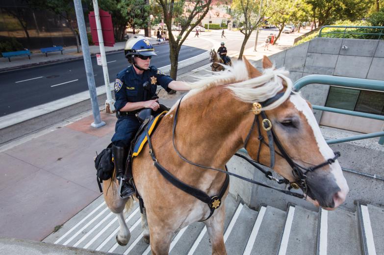 “We’re just as effective as an officer in a car, and a mounted officer is as effective as 10 foot-patrol officers,” she says. “We’re just as effective as an officer in a car, and a mounted officer is as effective as 10 foot-patrol officers,” she says.