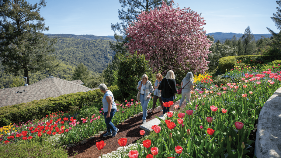 Visitors to the 5-acre, multi-tiered Crystal Hermitage Gardens in April enjoy views of the Tahoe National Forest and Yuba River Canyon.