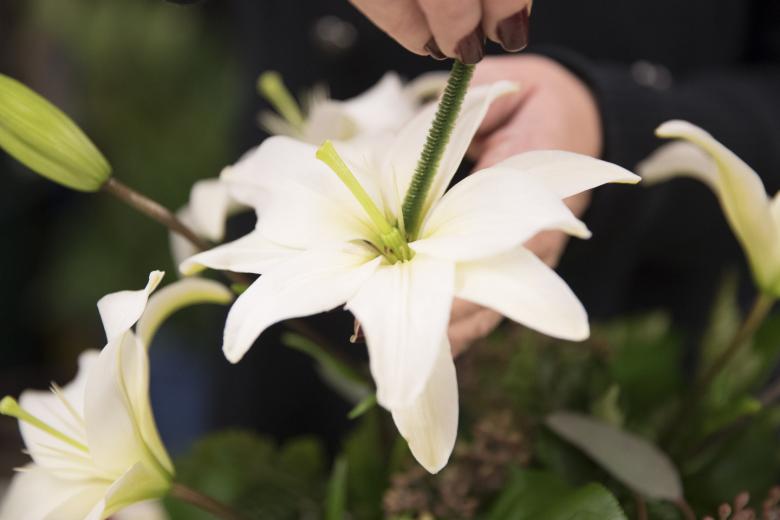 On this day, she is working on an order for 40 arrangements. Salmon previously pulled the pollen off all the lilies. “I do not want any of that pollen to get to our customers,” she says. If the lilies haven’t yet opened, she tags it so customers know it’s in their best interest to remove the pollen as soon as possible: “It will stain and it will not come out.” After assembling each arrangement, Salmon sprays the flowers with a mixture of water and preservatives to extend their life