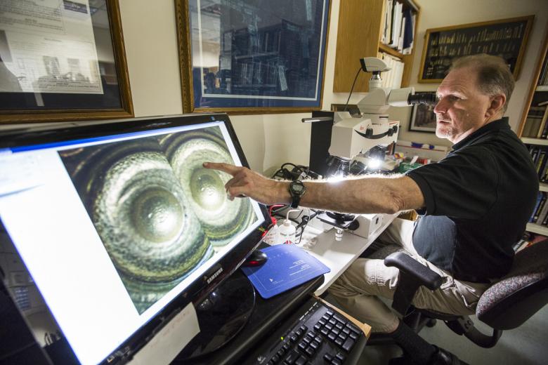 The markings that Moran inspects are imprinted on both the bullet and cartridge during the each gun’s unique cycle-of-fire – and indicate if two bullets were fired from the same type of gun. The markings that Moran inspects are imprinted on both the bullet and cartridge during the each gun’s unique cycle-of-fire – and indicate if two bullets were fired from the same type of gun.