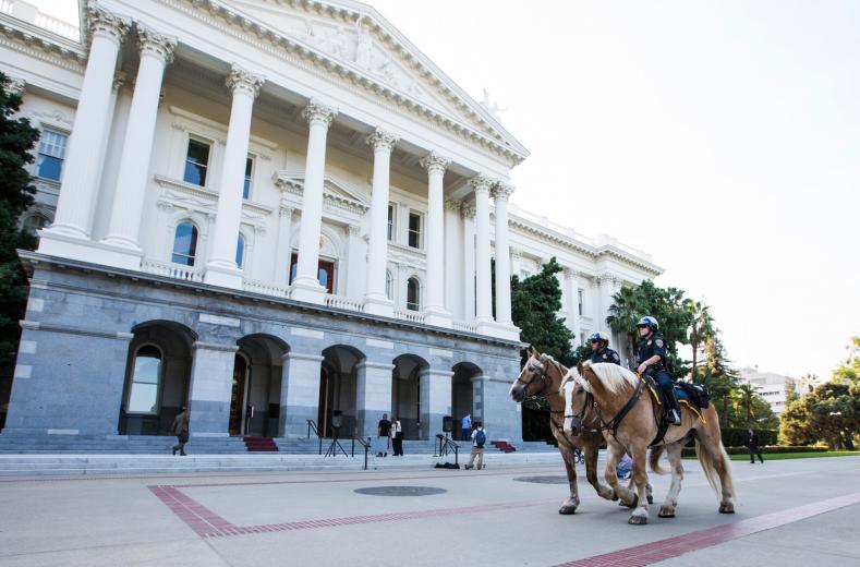 Draft horses are preferred by the California Highway Patrol because they “are better for crowd control and standing long hours,” says California Highway Patrol Officer Jeff Lane. Draft horses are preferred by the California Highway Patrol because they “are better for crowd control and standing long hours,” says California Highway Patrol Officer Jeff Lane.