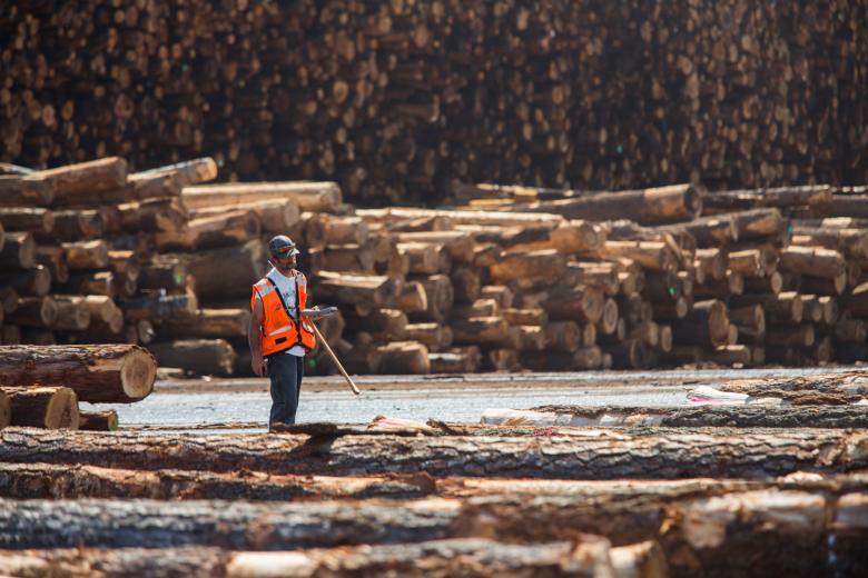 One of the largest wood-manufacturing companies in California, Sierra Pacific Industries started with a small sawmill on the North Coast. Founded by “Curly” Emmerson in 1979 and followed by his son “Red,” the company now employs approximately 3,800 people. One of the largest wood-manufacturing companies in California, Sierra Pacific Industries started with a small sawmill on the North Coast. Founded by “Curly” Emmerson in 1979 and followed by his son “Red,” the company now employs approximately 3,800 people.