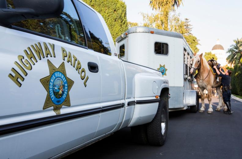 The CHP Mounted Unit has six horses, four permanent officers and four alternate officers who assist with events and training days.The Patrol owns the animals, most of which were purchased on Craigslist, and they are available for adoption when they retire. The CHP Mounted Unit has six horses, four permanent officers and four alternate officers who assist with events and training days.The Patrol owns the animals, most of which were purchased on Craigslist, and they are available for adoption when they retire.