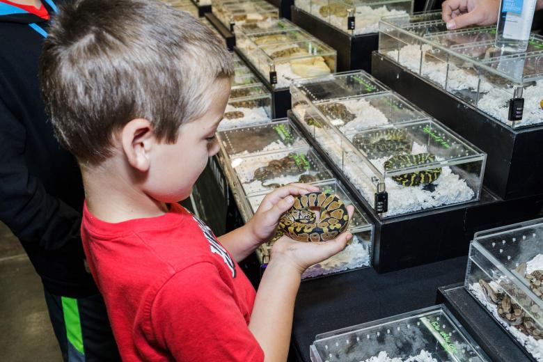 17th Annual Sacramento Reptile Show Comstock's magazine
