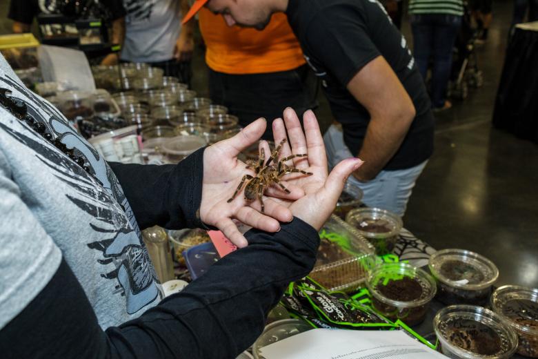 17th Annual Sacramento Reptile Show Comstock's magazine