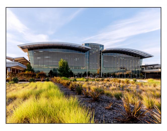 Comstock's Honorable Mention - Charles McDonald Comstock's Honorable Mention - Charles McDonald