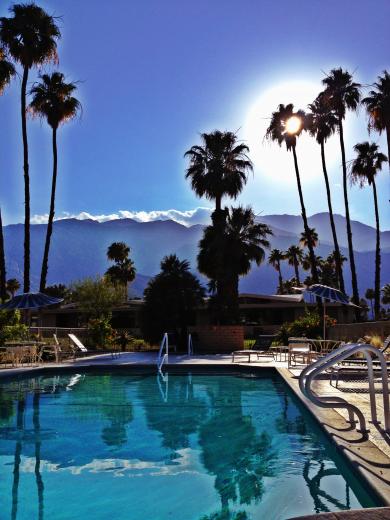 Pools, palms and mid-century homes in Palm Springs Pools, palms and mid-century homes in Palm Springs