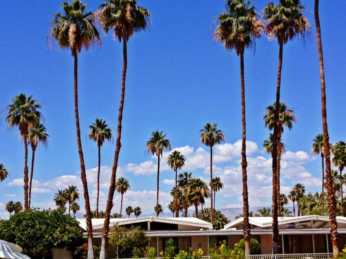 Sunny skies in Palm Springs Sunny skies in Palm Springs