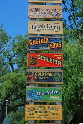 Some of the different labels of wines available at this year's ZinFest event. Some of the different labels of wines available at this year's ZinFest event.