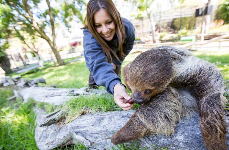"It's amazing, the stuff we get to do and the interaction we have with the animals," she says. "Education and conservation are a big part of the job, and when you see the kids expressions, when they're up close to an animal, you know they'll remember that experience forever."
"It's amazing, the stuff we get to do and the interaction we have with the animals," she says. "Education and conservation are a big part of the job, and when you see the kids expressions, when they're up close to an animal, you know they'll remember that experience forever."