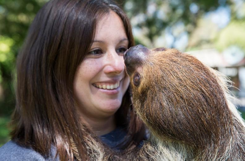 After a few years, she turned her attention to wildlife.
After a few years, she turned her attention to wildlife.