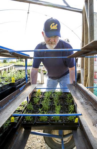 Since then, Sale has built another greenhouse and eight more hoop houses, in addition to the small gardens that dot the property. “I think the main thing we’ve done is identify and address all the primary categories, then dive deep into them to make sure we pull everything out of the nooks and crannies,” Sale says. Since then, Sale has built another greenhouse and eight more hoop houses, in addition to the small gardens that dot the property. “I think the main thing we’ve done is identify and address all the primary categories, then dive deep into them to make sure we pull everything out of the nooks and crannies,” Sale says.