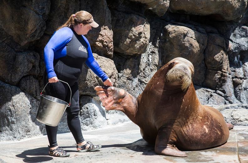 And they're not always quick to rise. "We'll come with food, and they'll be like, 'That's cool, we're good thanks,' and choose to sleep instead of eat," Warner says.
And they're not always quick to rise. "We'll come with food, and they'll be like, 'That's cool, we're good thanks,' and choose to sleep instead of eat," Warner says.