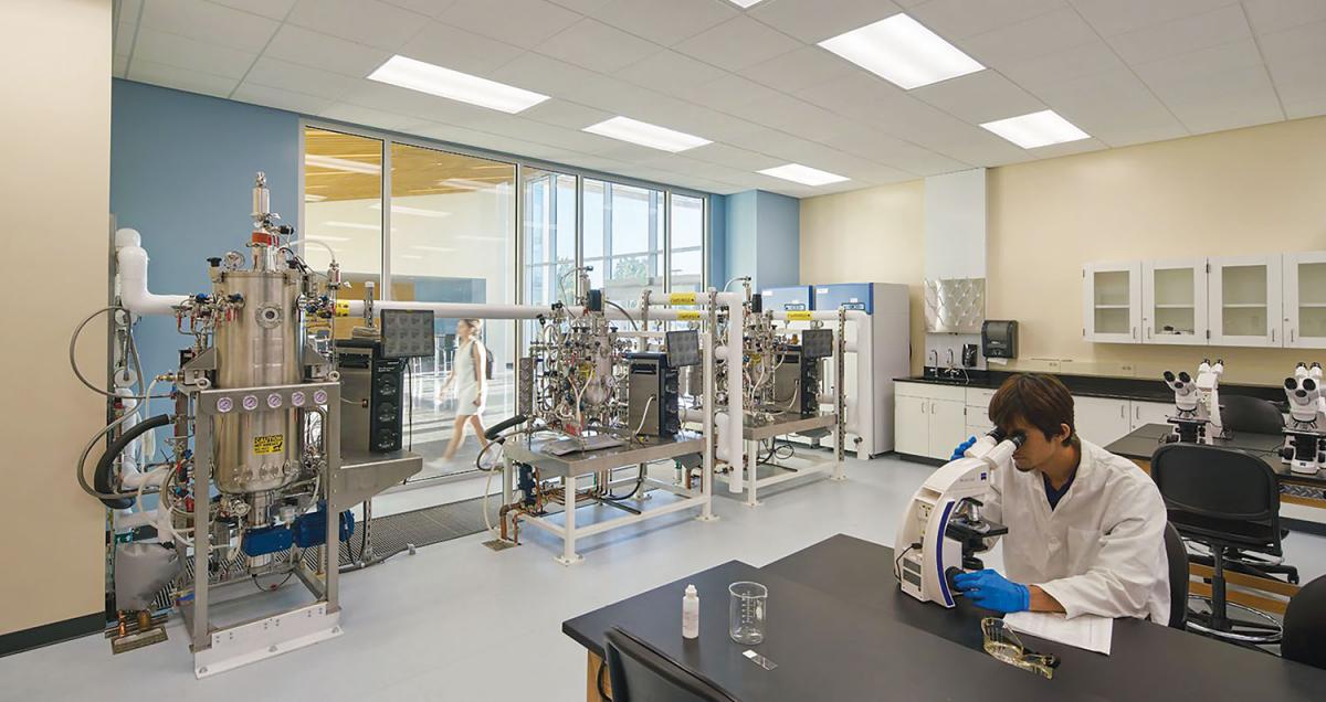 Building a Biotech Hub Comstock's magazine