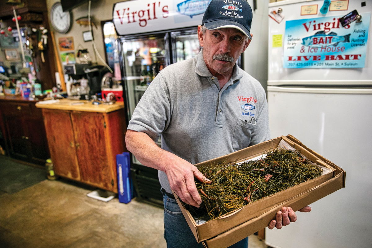 Virgil's Bait Shop in Suisun City Offers Fresh Bait, Cold Beer