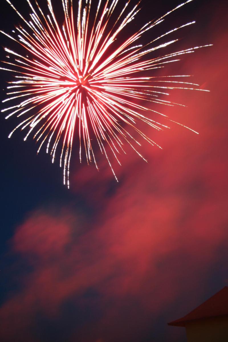Lunar New Year | Comstock's magazine