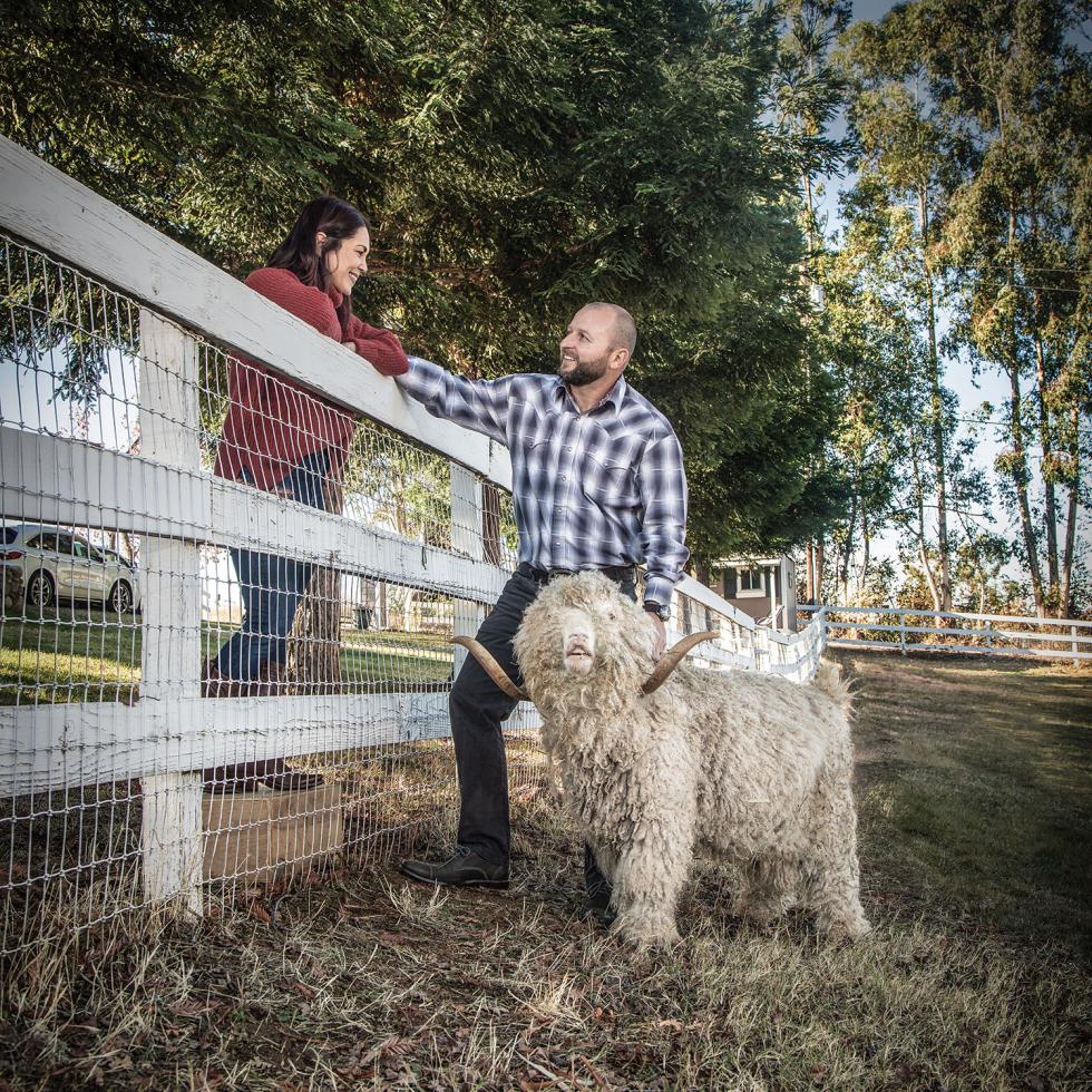 Katie and Kris Biggi have eight show-quality Angora goats on their 5-acre property in Newcastle, where they moved in May 2019. 