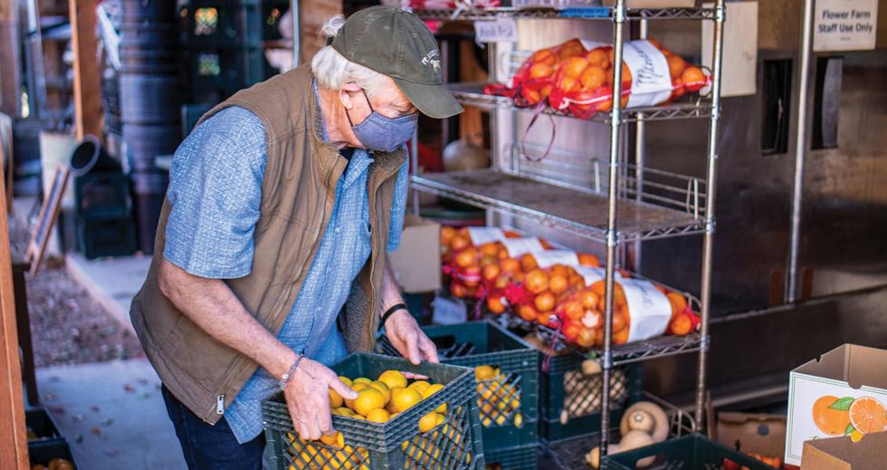 Taste of Normalcy | Comstock's magazine - Vimarsana News