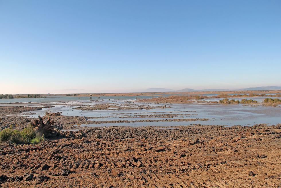 Portion of Cullinan Ranch, taken the day of the breach