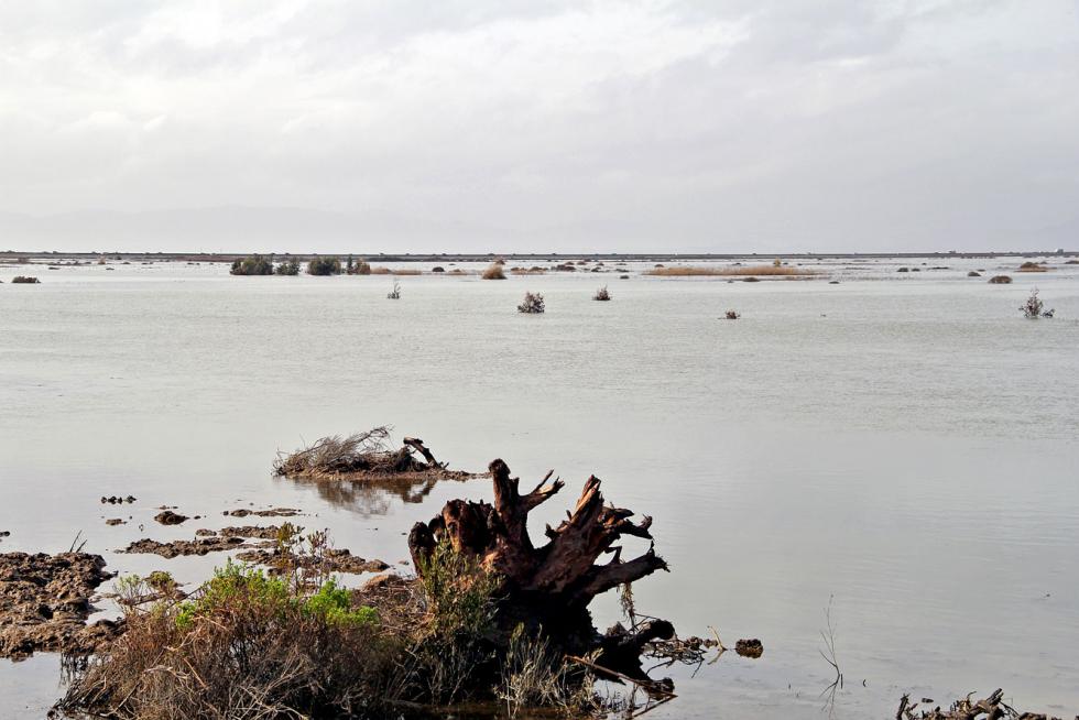 Same portion of Cullinan Ranch as above, one month after the breach