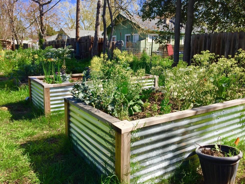 This garden was the first to be created by Oak Park Sol.
(Photo courtesy Amber Stott)