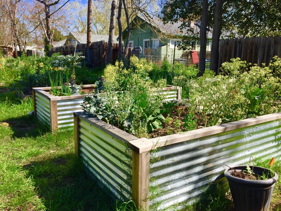 This garden was the first to be created by Oak Park Sol.
(Photo courtesy Amber Stott)