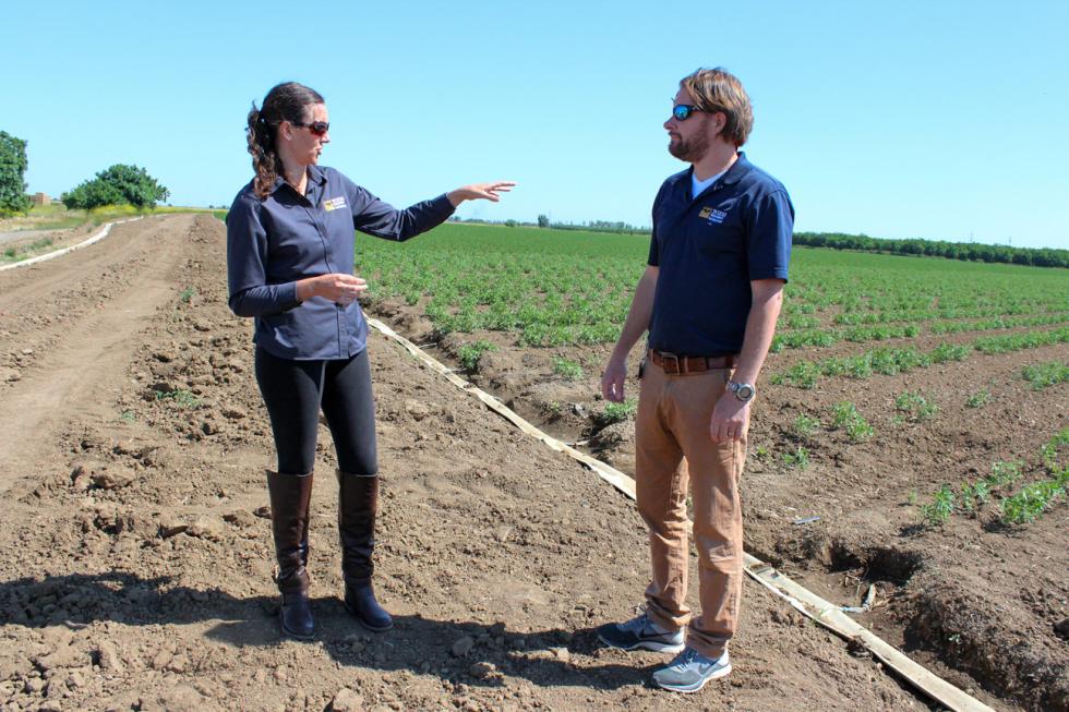 UC Davis researchers Melissa Partyka (left) and Ronald Bond study the food-safety implications of sediment basins. 