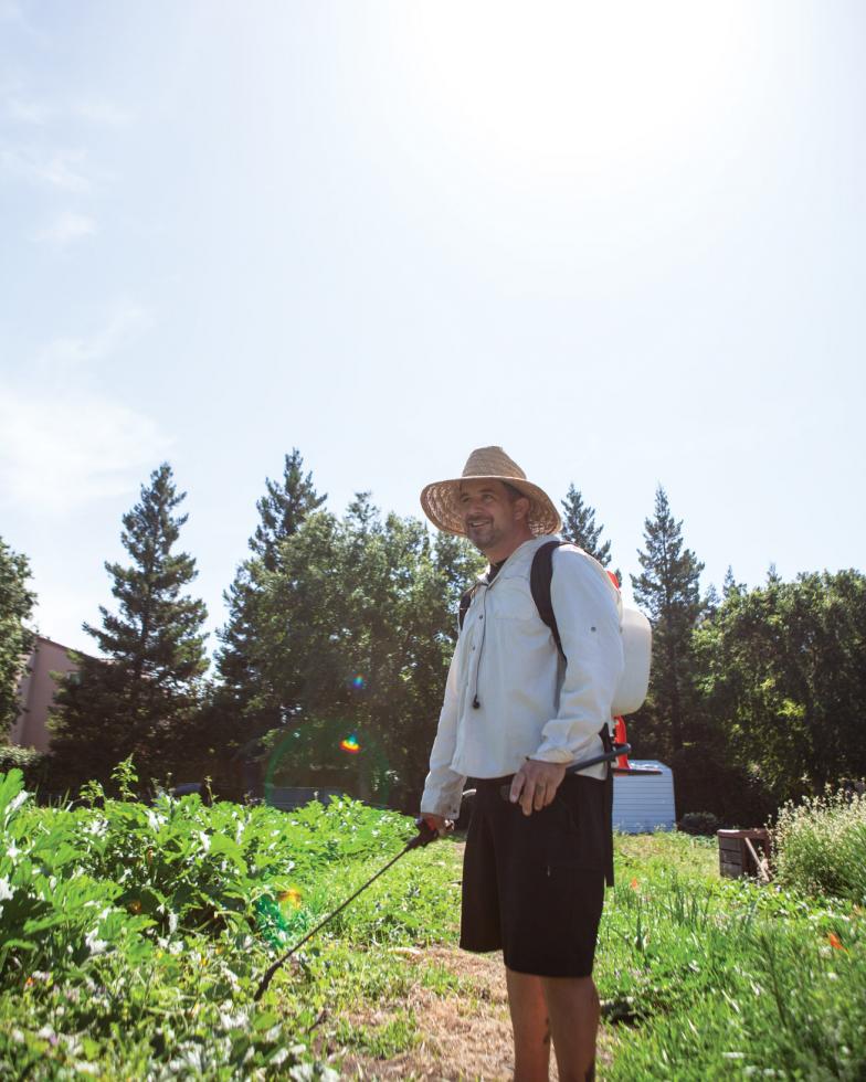 Shayne Zurilgen sprays fish emulsion (an organic fertilizer) on crops.