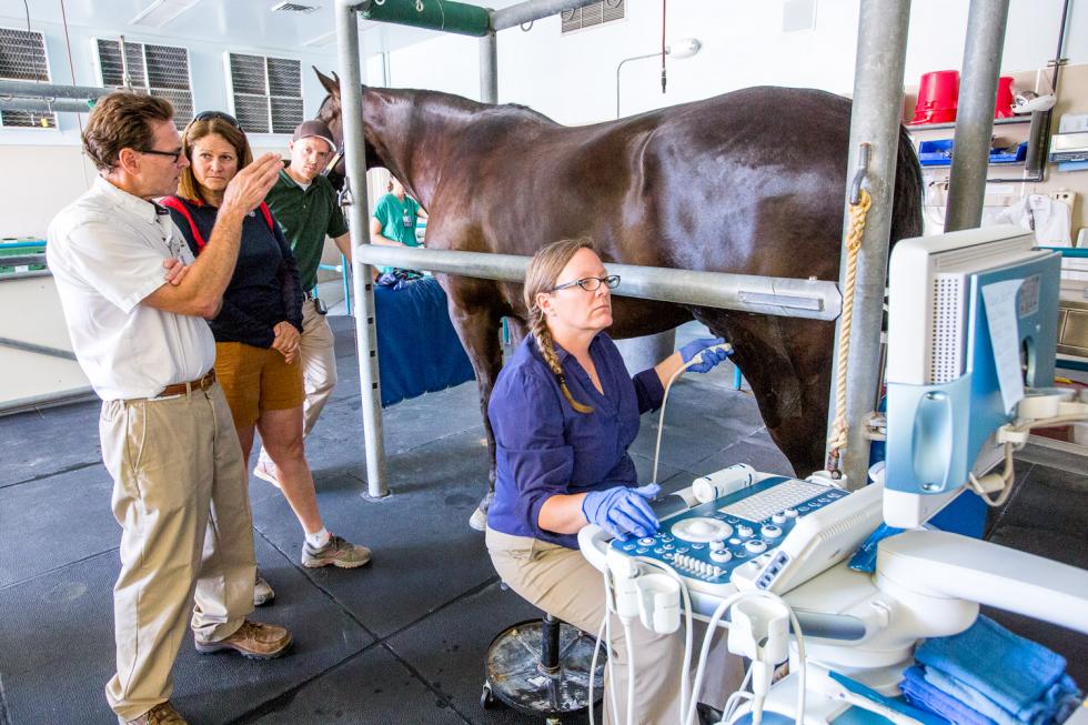 Larry Galuppo (far left) explains an ultrasound procedure to the owners of one of the horses participating in a stem-cell clinical trial at the UC Davis Veterinary Medical Teaching Hospital. 