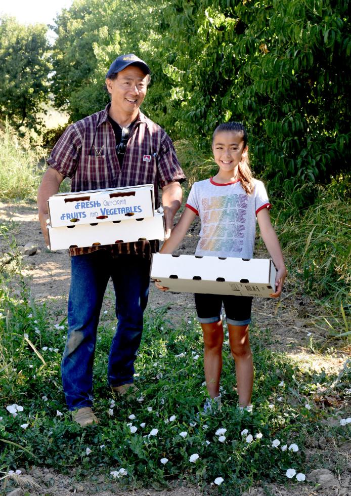 Clark Watanabe and his niece Laurel pick tomatoes at Watanabe Farms in West Sacramento.