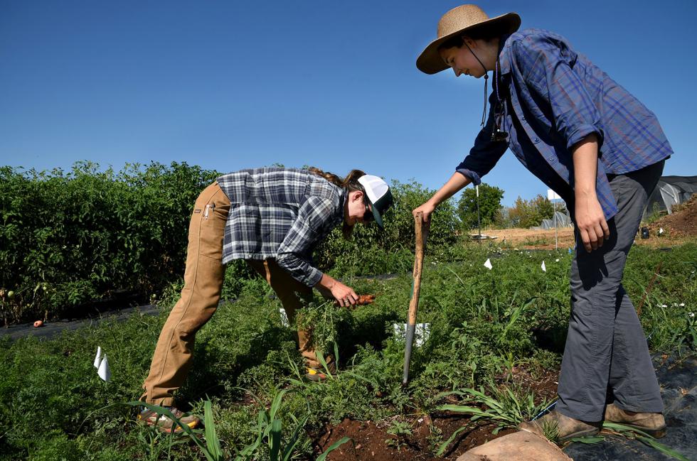 Shouldering the Burden | Comstock's magazine