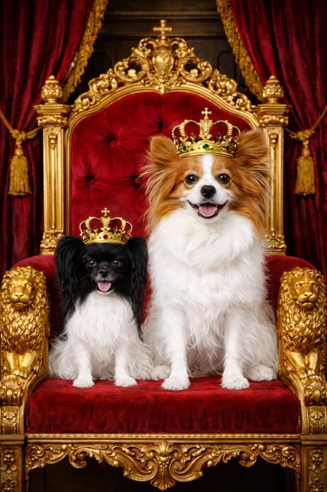 (Photo by Debbie Cunningham)