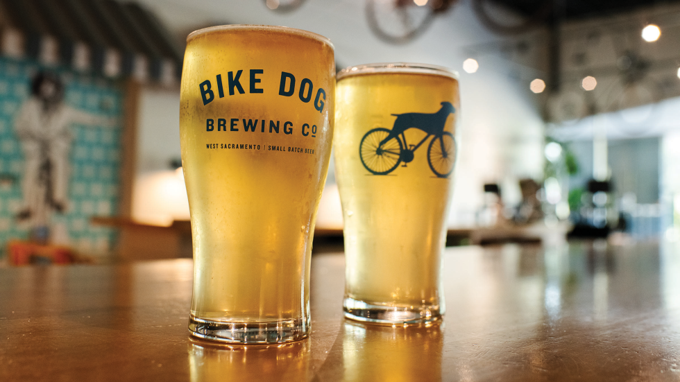 Sacramento’s Craft Beverage Scene Makes Room for Kombucha