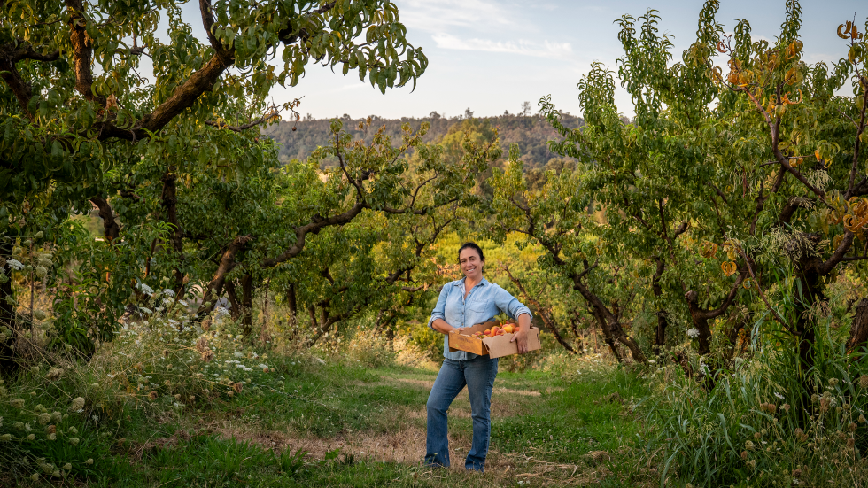 How Sacramento’s Agricultural Innovation Is Helping Family Farms Adapt