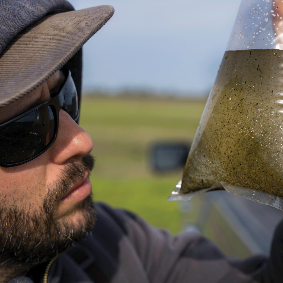 Montgomery checks the sample to see how many bugs have accumulated in the water. It typically takes about three weeks to get the right amount.
