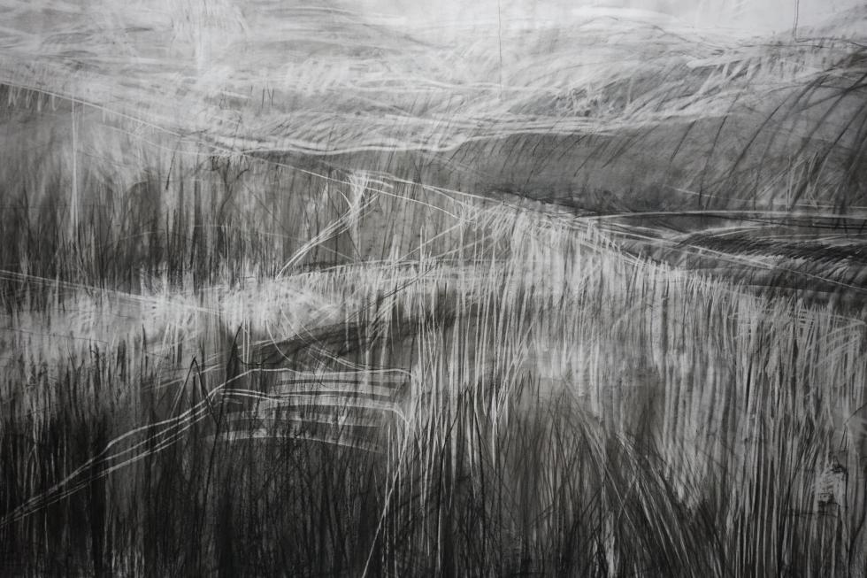 A 4.5- by 9-foot charcoal drawing spans the wall of Connelly’s studio at Verge Center for the Arts. The drawing is part of a work-in-progress about the artist’s memory of the land at the Mclaughlin Reserve, which burned in a fire in 2020. (Photo by Marie-Elena Schembri)
