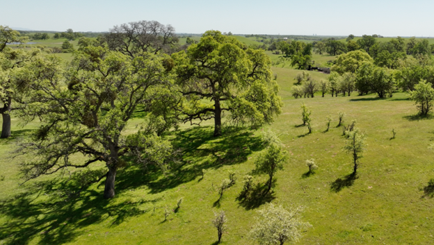 After SMUD Pulls Out, Is the Coyote Creek Solar Project a Climate Win or a Loss?