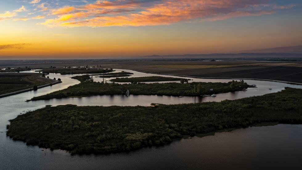 The Delta in Decline | Comstock's magazine - Vimarsana News