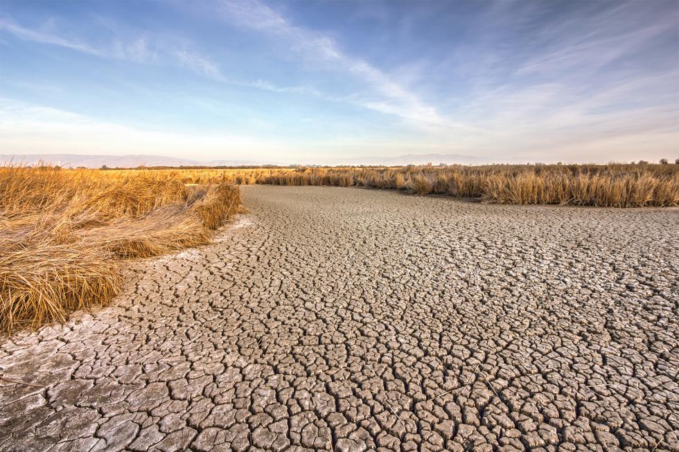 Dry times comstock s magazine