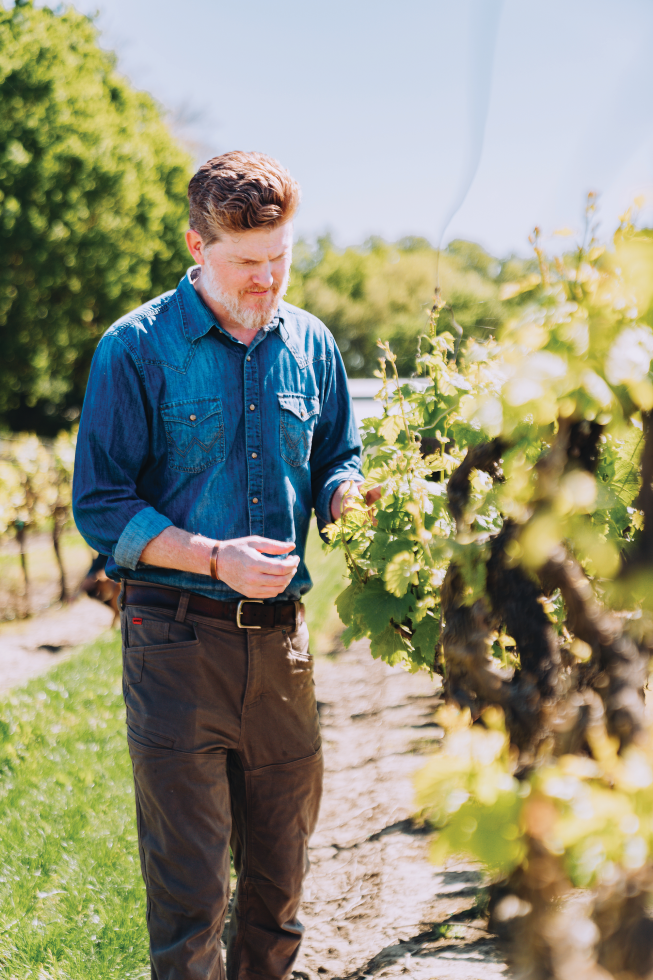 Phil Ogilvie, owner and CEO of Silt Wine Company, is the official tourism promoter of Clarksburg. (Photo courtesy of Silt Wine Company)