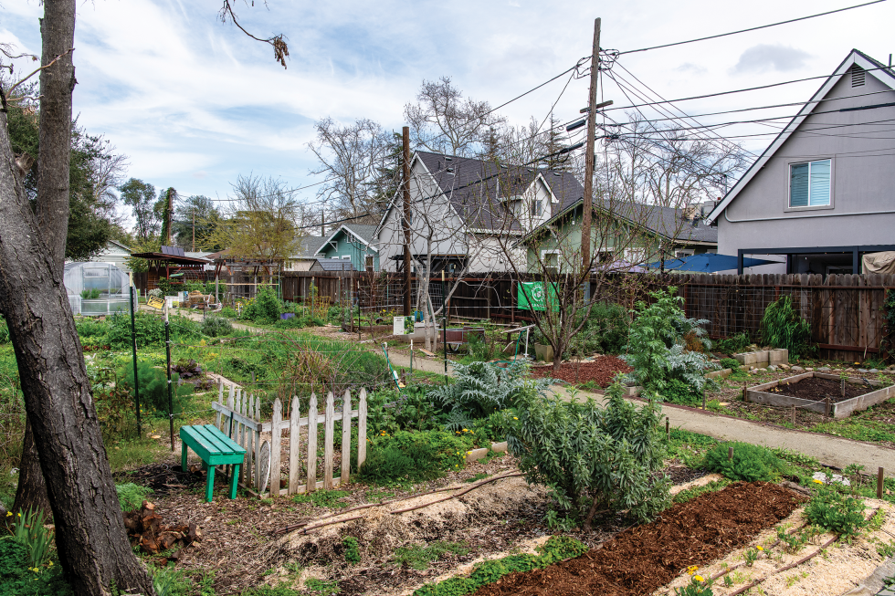 The Oak Park Sol Community Garden just reopened with 15 garden plots, an outdoor kitchen, a free pantry and library and a grape arbor with a sitting space. (Photo by Debbie Cunningham)