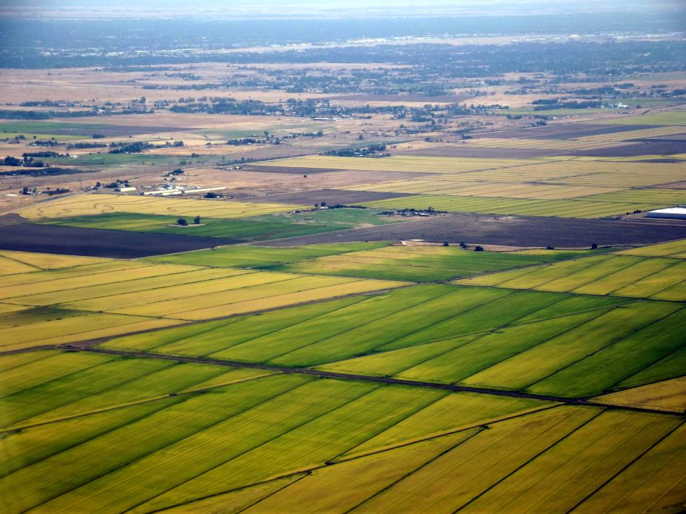 Irrigation to support agriculture in the Sacramento Valley has drained groundwater to the point that the land is sinking. (Photo courtesy of Harvest Water)