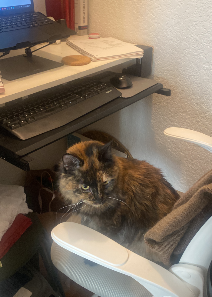 (Photo by Dakota Morlan)